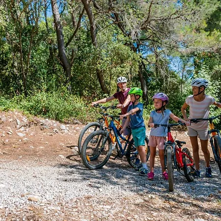 Hotel Maslinica Narcis Rabac