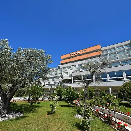 Maslinica Narcis Hotel Rabac