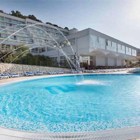 Maslinica Narcis Rabac