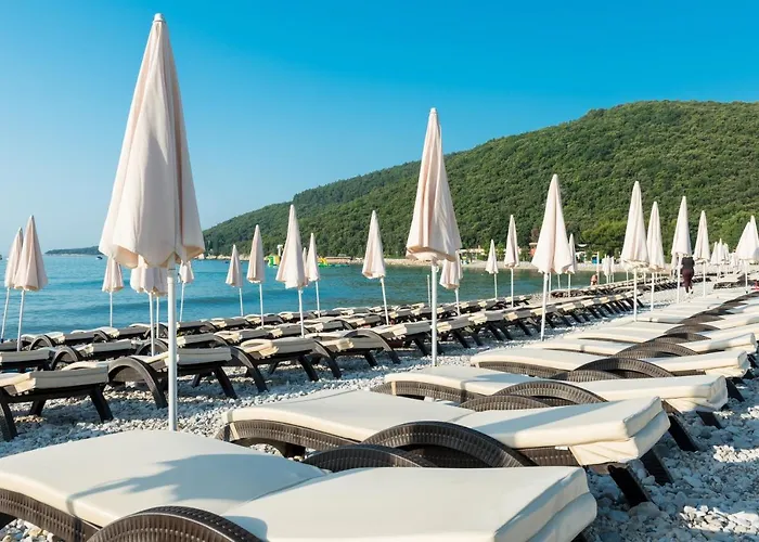 Hotel Maslinica Narcis 4*