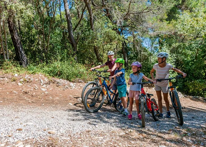 Hotel Maslinica Narcis Rabac