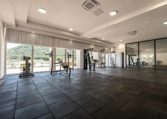 Maslinica Narcis Rabac