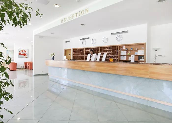 Maslinica Narcis 4* Rabac