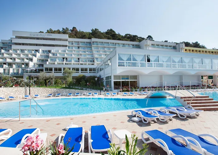 Maslinica Narcis Rabac