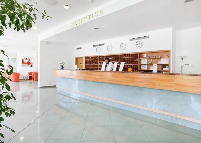 Maslinica Narcis 4* Rabac